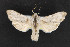  ( - NOC14704)  @14 [ ] Unspecified (default): All Rights Reserved  Unspecified Unspecified