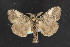  ( - NOC14719)  @13 [ ] Unspecified (default): All Rights Reserved  Unspecified Unspecified