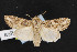  ( - NOC14728)  @13 [ ] Unspecified (default): All Rights Reserved  Unspecified Unspecified