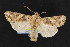  ( - NOC14729)  @13 [ ] Unspecified (default): All Rights Reserved  Unspecified Unspecified