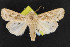  ( - NOC14730)  @12 [ ] Unspecified (default): All Rights Reserved  Unspecified Unspecified