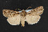  ( - NOC14748)  @13 [ ] Unspecified (default): All Rights Reserved  Unspecified Unspecified