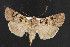  ( - NOC14761)  @13 [ ] Unspecified (default): All Rights Reserved  Unspecified Unspecified