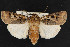  ( - NOC14770)  @15 [ ] Unspecified (default): All Rights Reserved  Unspecified Unspecified