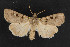  ( - NOC14776)  @14 [ ] Unspecified (default): All Rights Reserved  Unspecified Unspecified