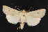  ( - NOC14782)  @14 [ ] Unspecified (default): All Rights Reserved  Unspecified Unspecified