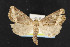  ( - NOC14806)  @13 [ ] Unspecified (default): All Rights Reserved  Unspecified Unspecified