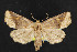  (Homophoberia - NOC14808)  @14 [ ] Unspecified (default): All Rights Reserved  Unspecified Unspecified