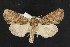  ( - NOC14811)  @14 [ ] Unspecified (default): All Rights Reserved  Unspecified Unspecified