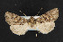  ( - NOC14813)  @14 [ ] Unspecified (default): All Rights Reserved  Unspecified Unspecified