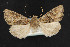  ( - NOC14814)  @14 [ ] Unspecified (default): All Rights Reserved  Unspecified Unspecified