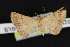  ( - NOC14822)  @13 [ ] Unspecified (default): All Rights Reserved  Unspecified Unspecified