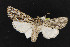  ( - NOC14833)  @13 [ ] Unspecified (default): All Rights Reserved  Unspecified Unspecified