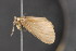  ( - NOC14838)  @13 [ ] Unspecified (default): All Rights Reserved  Unspecified Unspecified