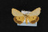  ( - CNC LEP00054207)  @13 [ ] Unspecified (default): All Rights Reserved  Unspecified Unspecified