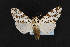  ( - CNC LEP00054209)  @11 [ ] Unspecified (default): All Rights Reserved  Unspecified Unspecified