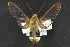  ( - CNC LEP00054211)  @11 [ ] Unspecified (default): All Rights Reserved  Unspecified Unspecified