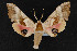  ( - CNC LEP00054213)  @13 [ ] Unspecified (default): All Rights Reserved  Unspecified Unspecified