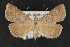  ( - CNC LEP00054234)  @14 [ ] Unspecified (default): All Rights Reserved  Unspecified Unspecified