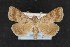  ( - CNC LEP00054236)  @13 [ ] Unspecified (default): All Rights Reserved  Unspecified Unspecified