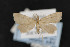  ( - CNC LEP00054239)  @13 [ ] Unspecified (default): All Rights Reserved  Unspecified Unspecified