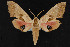  ( - CNC LEP00054251)  @11 [ ] Unspecified (default): All Rights Reserved  Unspecified Unspecified