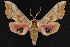  ( - CNC LEP00054253)  @13 [ ] Unspecified (default): All Rights Reserved  Unspecified Unspecified