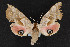 ( - CNC LEP00054256)  @12 [ ] Unspecified (default): All Rights Reserved  Unspecified Unspecified