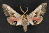  ( - CNC LEP00054258)  @13 [ ] Unspecified (default): All Rights Reserved  Unspecified Unspecified