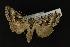  ( - NOC14087)  @12 [ ] Unspecified (default): All Rights Reserved  Unspecified Unspecified
