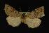  ( - NOC14091)  @14 [ ] Unspecified (default): All Rights Reserved  Unspecified Unspecified