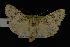  ( - NOC14092)  @13 [ ] Unspecified (default): All Rights Reserved  Unspecified Unspecified