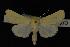  ( - NOC14093)  @12 [ ] Unspecified (default): All Rights Reserved  Unspecified Unspecified