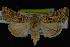  ( - NOC14100)  @13 [ ] Unspecified (default): All Rights Reserved  Unspecified Unspecified
