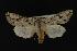  ( - NOC14112)  @11 [ ] Unspecified (default): All Rights Reserved  Unspecified Unspecified