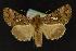 ( - NOC14175)  @13 [ ] Unspecified (default): All Rights Reserved  Unspecified Unspecified
