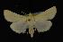  ( - NOC14180)  @12 [ ] Unspecified (default): All Rights Reserved  Unspecified Unspecified