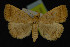  ( - NOC14184)  @14 [ ] Unspecified (default): All Rights Reserved  Unspecified Unspecified