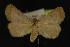  ( - NOC14187)  @13 [ ] Unspecified (default): All Rights Reserved  Unspecified Unspecified
