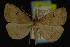  ( - NOC14189)  @13 [ ] Unspecified (default): All Rights Reserved  Unspecified Unspecified