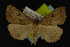  ( - NOC14189)  @13 [ ] Unspecified (default): All Rights Reserved  Unspecified Unspecified