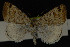  ( - NOC14190)  @13 [ ] Unspecified (default): All Rights Reserved  Unspecified Unspecified