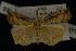  ( - NOC14194)  @13 [ ] Unspecified (default): All Rights Reserved  Unspecified Unspecified