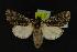  ( - NOC14200)  @14 [ ] Unspecified (default): All Rights Reserved  Unspecified Unspecified