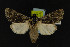  ( - NOC14200)  @14 [ ] Unspecified (default): All Rights Reserved  Unspecified Unspecified
