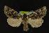  ( - NOC14201)  @14 [ ] Unspecified (default): All Rights Reserved  Unspecified Unspecified