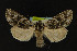  ( - NOC14201)  @14 [ ] Unspecified (default): All Rights Reserved  Unspecified Unspecified