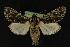  ( - NOC14202)  @14 [ ] Unspecified (default): All Rights Reserved  Unspecified Unspecified