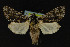  ( - NOC14202)  @14 [ ] Unspecified (default): All Rights Reserved  Unspecified Unspecified