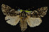  ( - NOC14203)  @14 [ ] Unspecified (default): All Rights Reserved  Unspecified Unspecified